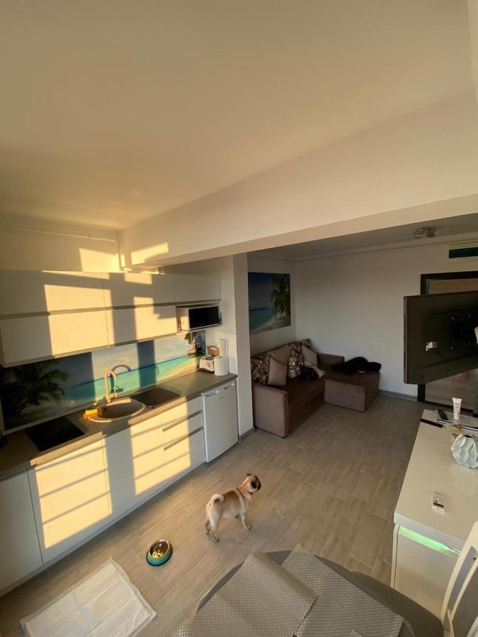Apartament Edu Beach Resort Navodari Dış mekan fotoğraf